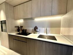 The Continuum (D15), Apartment #501887651